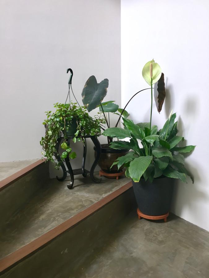 Casa Lelyte Bed & Breakfast Bogota Ngoại thất bức ảnh